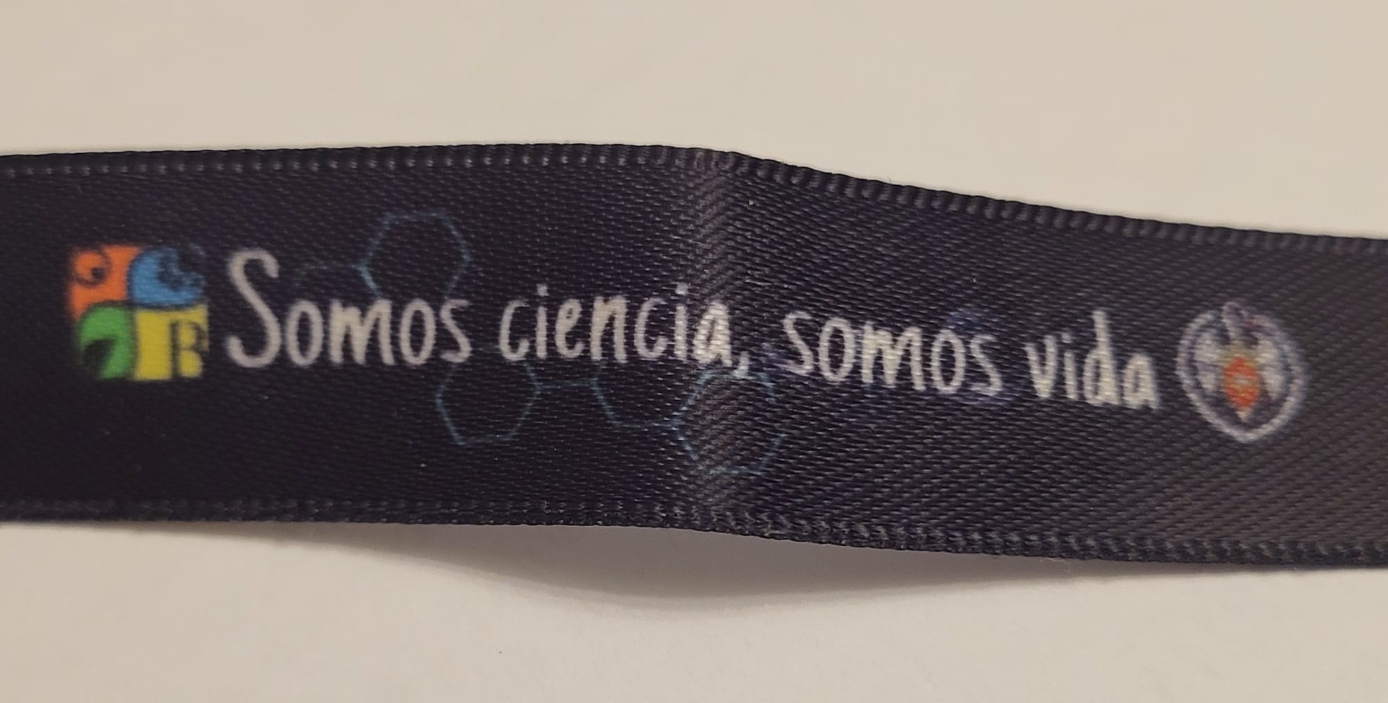 Bienvenida de la Delegación de Estudiantes a los estudiantes de primer curso.